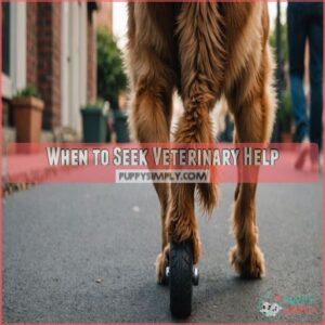 When to Seek Veterinary Help