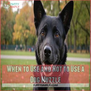 When to Use and Not to Use a Dog Muzzle