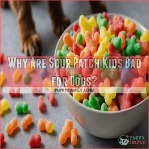 Why Are Sour Patch Kids Bad for Dogs