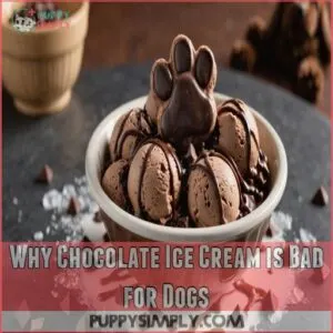 Why Chocolate Ice Cream is Bad for Dogs