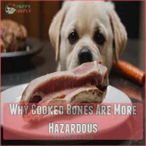 Why Cooked Bones Are More Hazardous