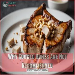 Why Cooked Bones Are Not Recommended