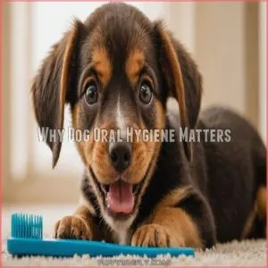 Why Dog Oral Hygiene Matters