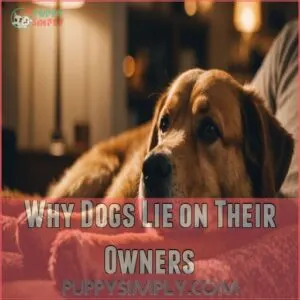 Why Dogs Lie on Their Owners