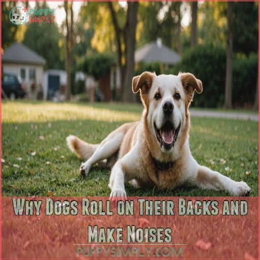 Why Dogs Roll on Their Backs and Make Noises