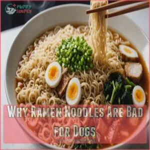 Why Ramen Noodles Are Bad for Dogs