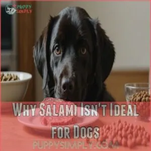 Why Salami Isn