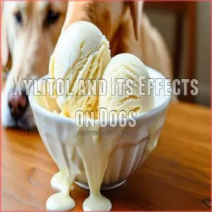 Xylitol and Its Effects on Dogs