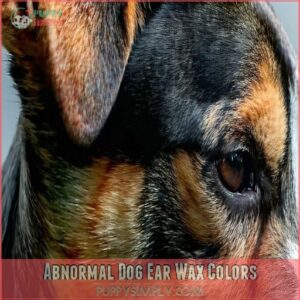 Abnormal Dog Ear Wax Colors