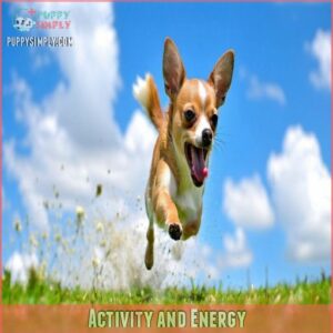 Activity and Energy