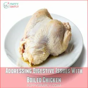 Addressing Digestive Issues With Boiled Chicken