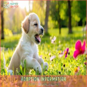 Adoption Information