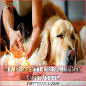 Advanced Techniques for Managing Canine Anxiety