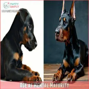 Age at Mental Maturity Age at Mental Maturity