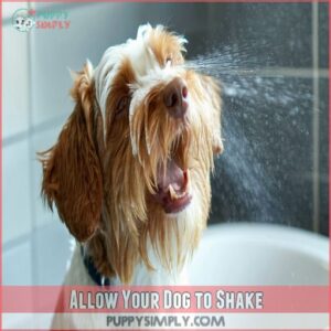 Allow Your Dog to Shake