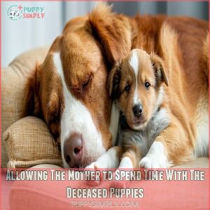 Allowing The Mother to Spend Time With The Deceased Puppies