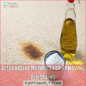 Alternative Methods for Removing Old Stains