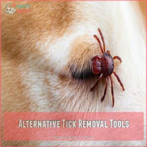 Alternative Tick Removal Tools