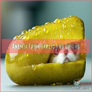 Anemia From Garlic and Onions