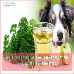 Apple Cider Vinegar and Curly Parsley for Antibacterial Properties