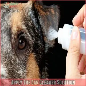 Apply The Ear Cleaner Solution