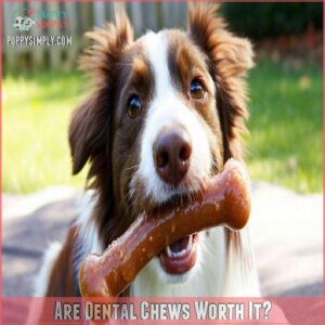 Are Dental Chews Worth It