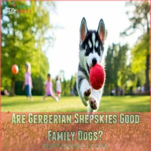 Are Gerberian Shepskies Good Family Dogs