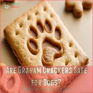 Are Graham Crackers Safe for Dogs