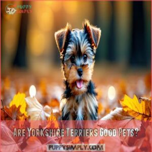 Are Yorkshire Terriers Good Pets