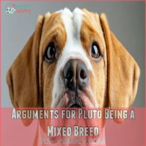 Arguments for Pluto Being a Mixed Breed