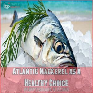 Atlantic Mackerel as a Healthy Choice