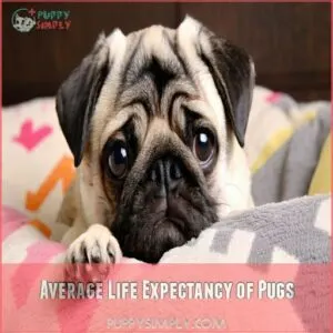 Average Life Expectancy of Pugs