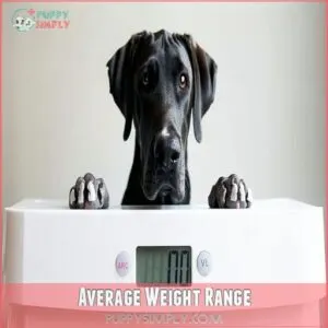 Average Weight Range