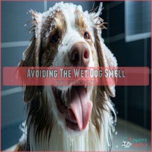 Avoiding The Wet Dog Smell