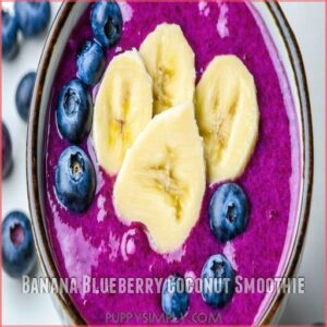 Banana Blueberry Coconut Smoothie