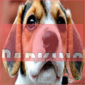 Barking