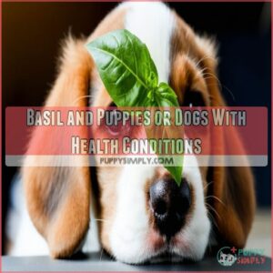 Basil and Puppies or Dogs With Health Conditions