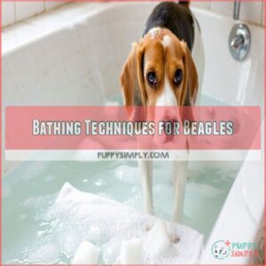 Bathing Techniques for Beagles