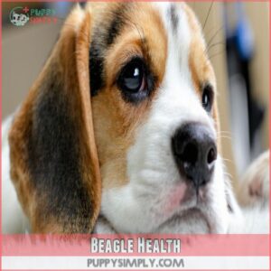 Beagle Health