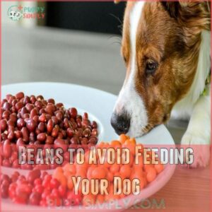 Beans to Avoid Feeding Your Dog