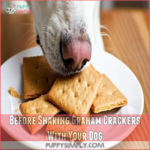 Before Sharing Graham Crackers With Your Dog