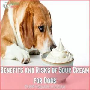 Benefits and Risks of Sour Cream for Dogs