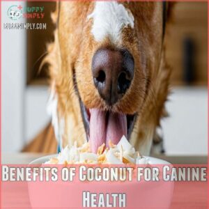 Benefits of Coconut for Canine Health