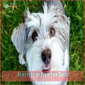 Benefits of Fish for Dogs