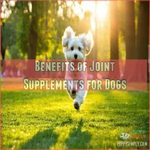 Benefits of Joint Supplements for Dogs