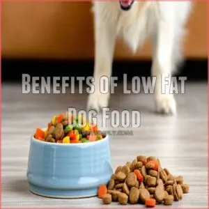 Benefits of Low Fat Dog Food