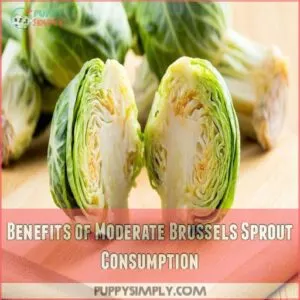 Benefits of Moderate Brussels Sprout Consumption