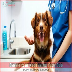 Benefits of Neutering Your Dog