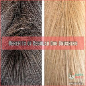 Benefits of Regular Dog Brushing