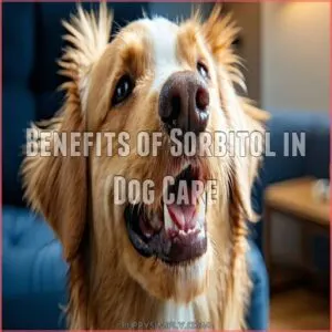 Benefits of Sorbitol in Dog Care